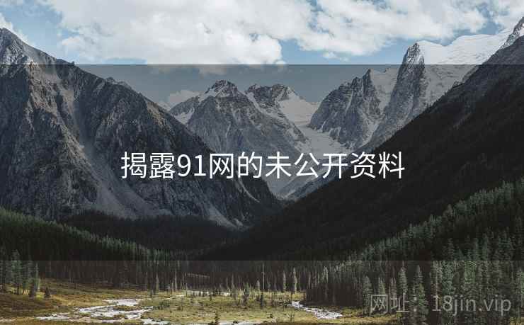 揭露91网的未公开资料