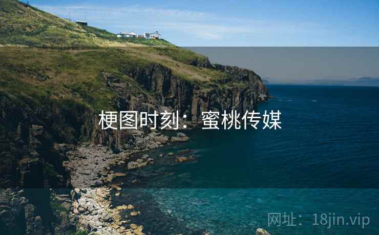 梗图时刻:蜜桃传媒