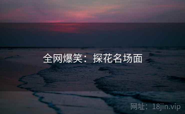 全网爆笑:探花名场面
