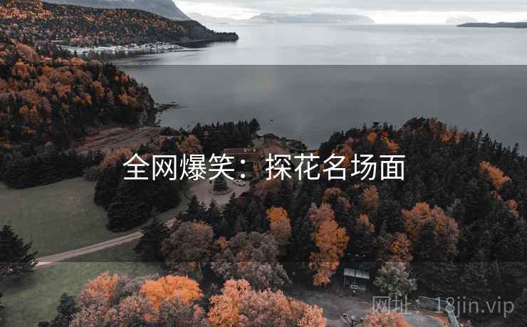全网爆笑:探花名场面 全网爆笑:探花名场面