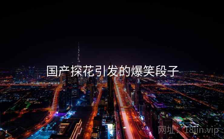 国产探花引发的爆笑段子