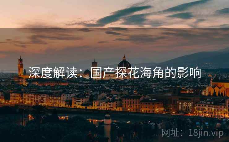深度解读:国产探花海角的影响