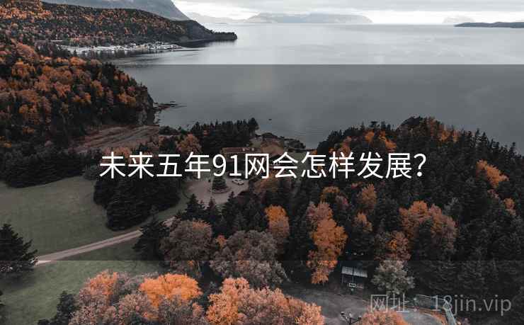 未来五年91网会怎样发展? 未来五年91网会怎样发展?