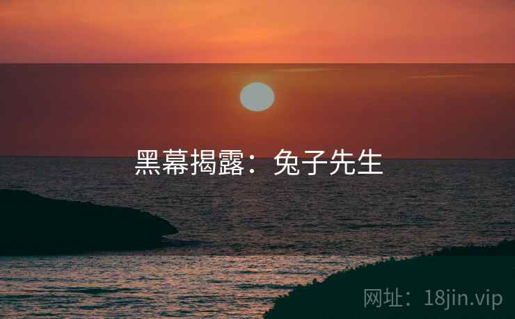 黑幕揭露：兔子先生
