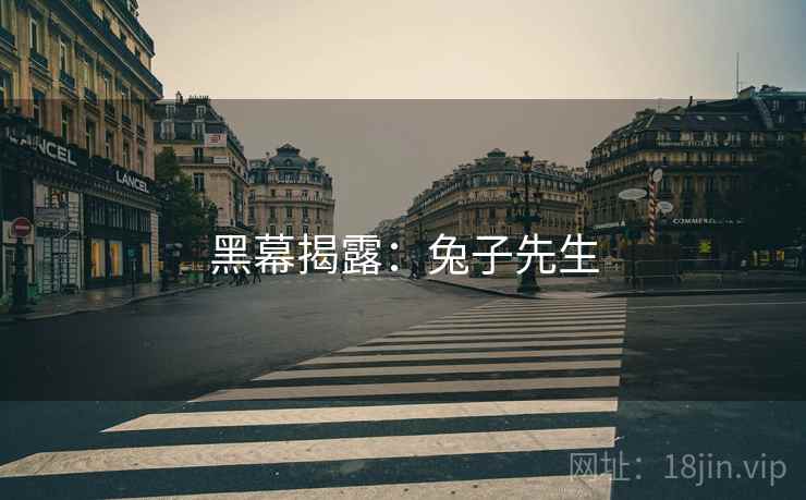 黑幕揭露:兔子先生 黑幕揭露:兔子先生