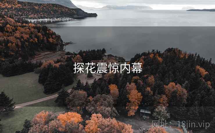 探花震惊内幕