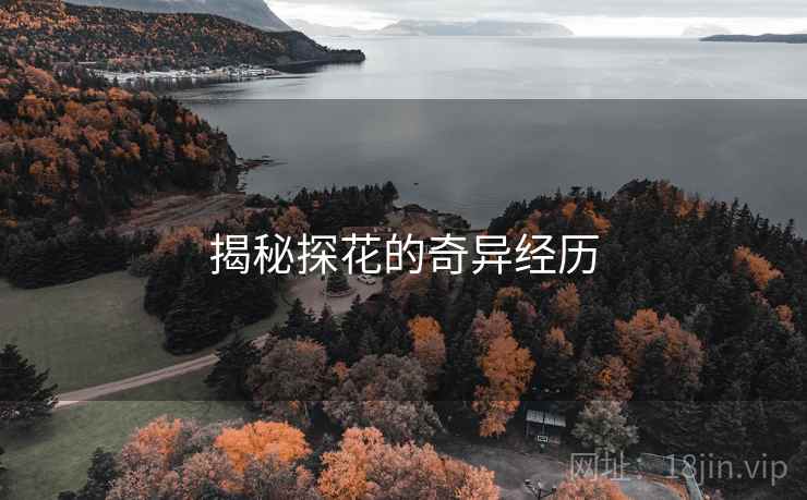 揭秘探花的奇异经历
