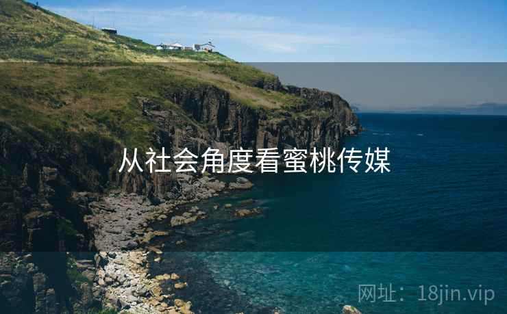 从社会角度看蜜桃传媒