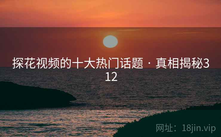 探花视频的十大热门话题 · 真相揭秘312